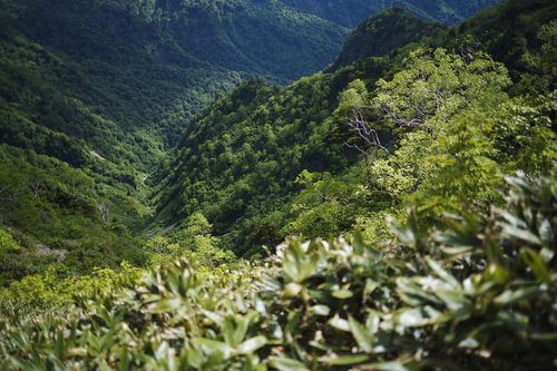 深い森に包まれた高妻山裾花川源流の清流渓谷