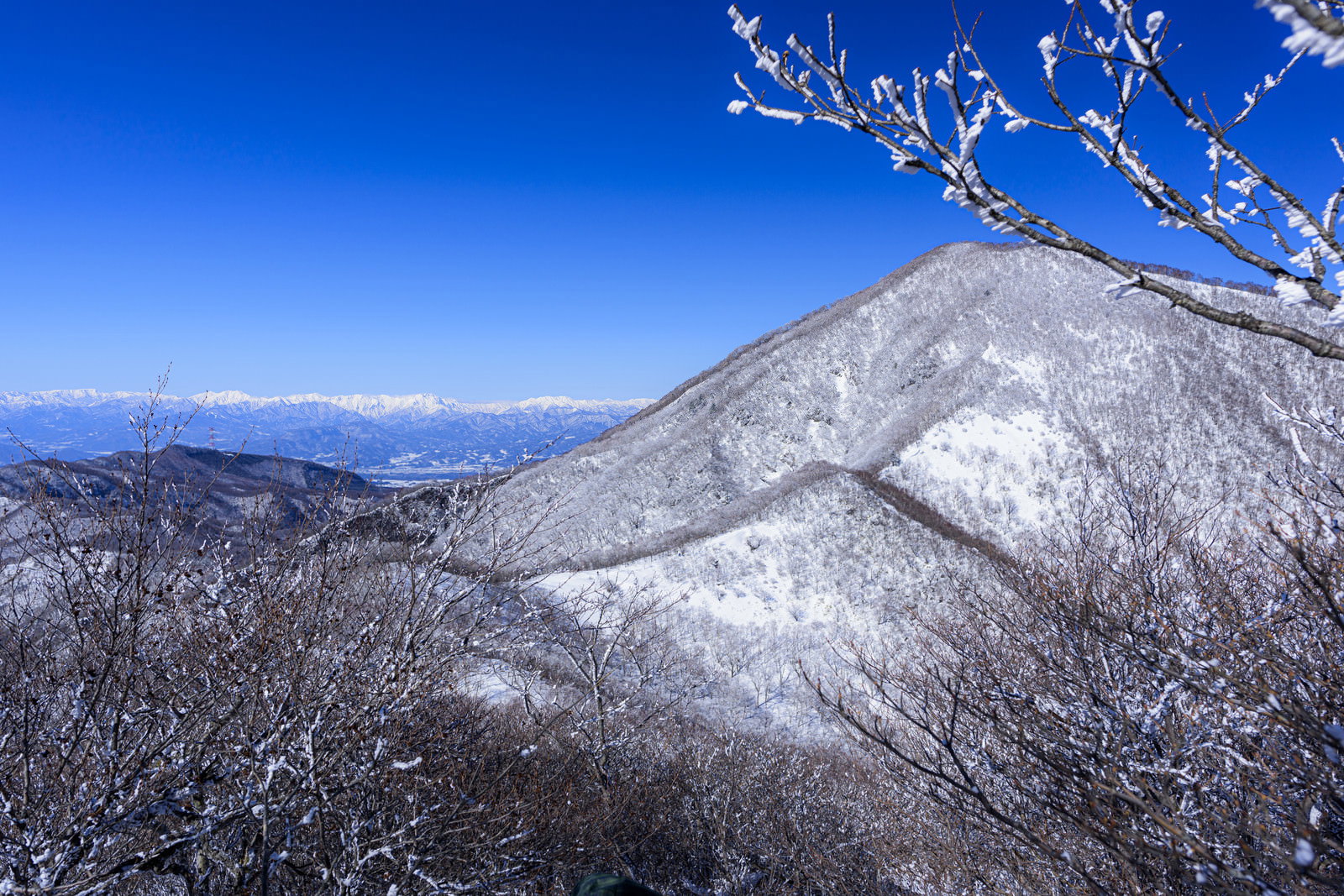 青空の下で雪に覆われた赤城山と手前の枯れ枝