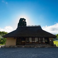 夏の日差しが照らす古民家いっぷく亭の庭園の写真