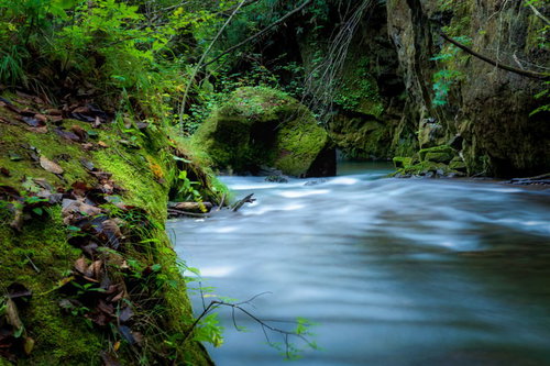 樽前ガローの渓流が滑らかに流れる水面と苔むした岩