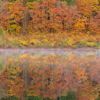 朝霧の大柳沼に映る紅葉水鏡の写真