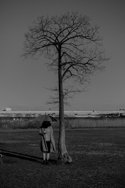 荒野の枯木で傘を差して雨宿りする女性のポートレート