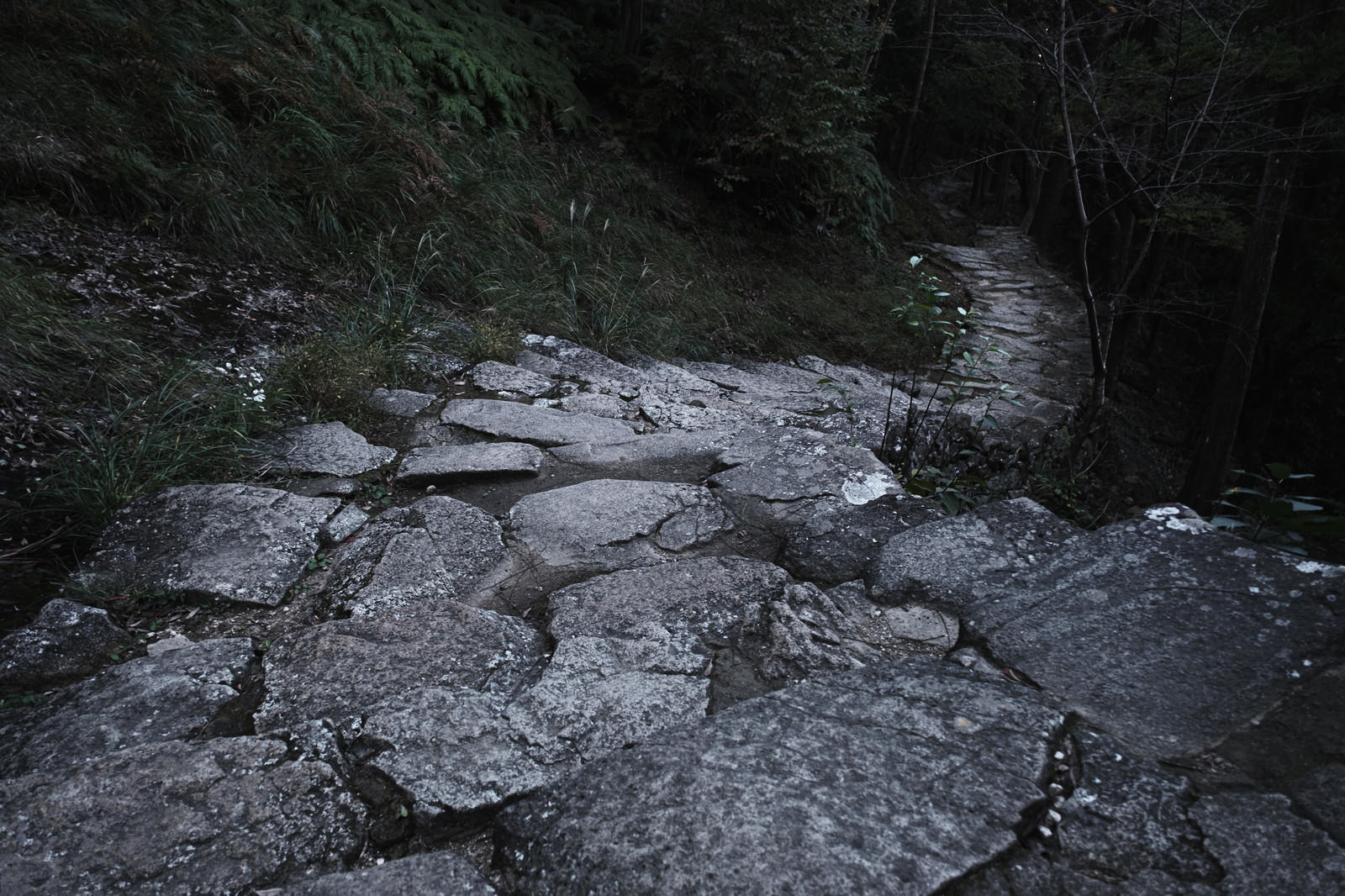 大きな岩の間を縫うように続く急勾配の神倉神社の石段