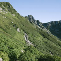 真夏の千畳敷カール、木曽駒ヶ岳の緑に覆われた山肌の写真