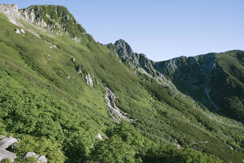 真夏の千畳敷カール、木曽駒ヶ岳の緑に覆われた山肌