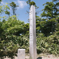 眺望がない平ヶ岳山頂と白く塗装された木製の山頂標の写真