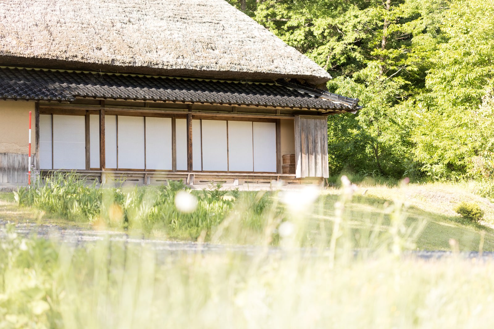 緑に囲まれた茅葺屋根の古民家と木製の縁側