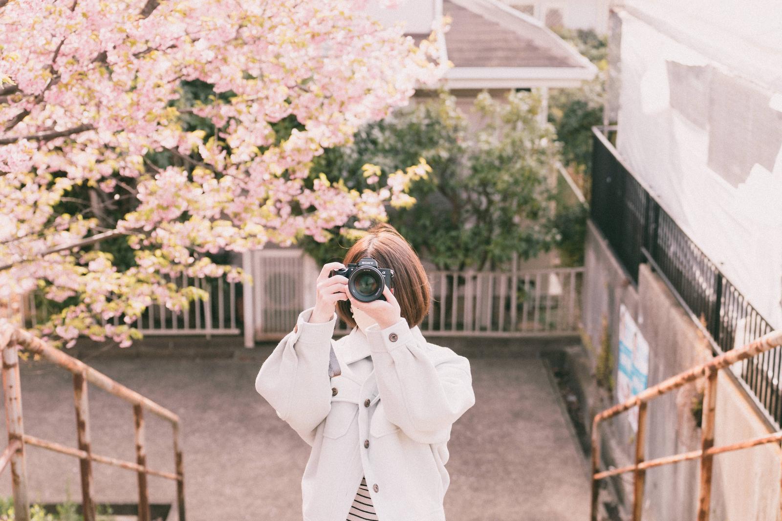 白いジャケットを着た女性が桜の下でミラーレスカメラで写真を撮っている