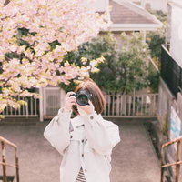 桜の下でミラーレスカメラを構える女子カメラマンの写真