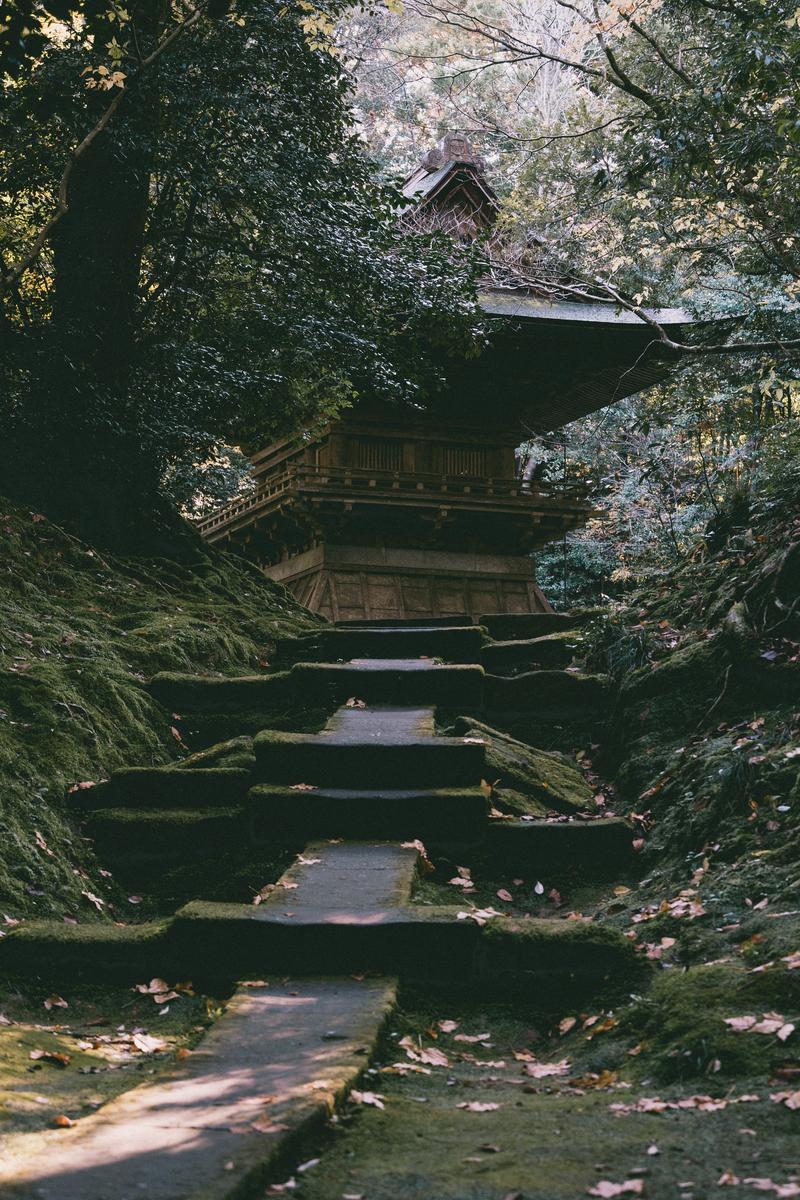 苔むした石段参道の奥に見える緑に囲まれたお堂