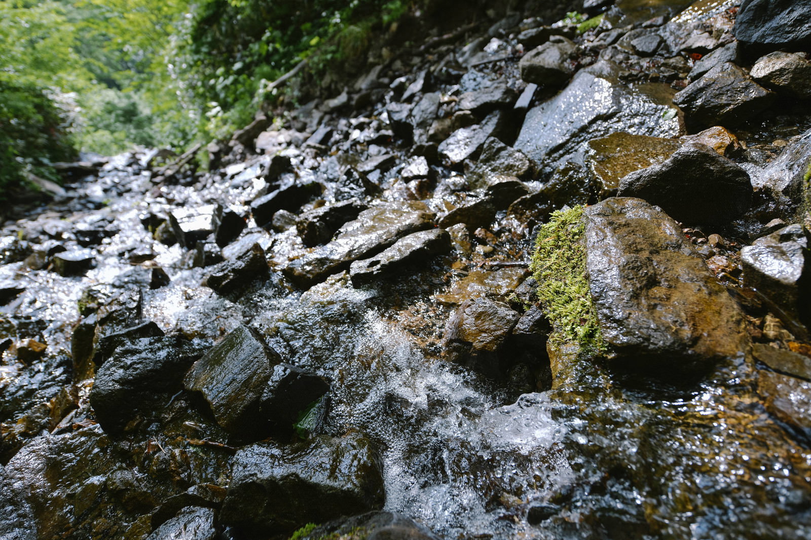 高妻山大洞沢の岩場を流れる清流と苔むした岩肌
