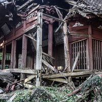 屋根や壁が崩れ落ちた廃墟の木造寺院の写真