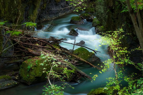 岩に乗り上げた流木と樽前ガロー 北海道の渓谷
