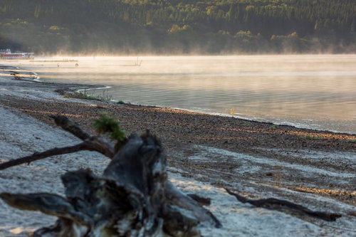 朝の田沢湖に立ち上る蒸気霧と湖畔の流木