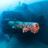沈黙の証人 軍艦USSエモンズの主砲と沈没船の海中遺産の写真