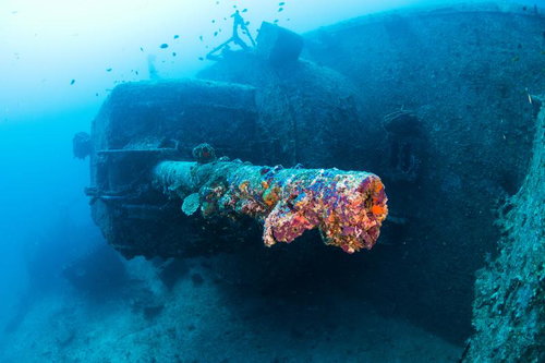 沈黙の証人 軍艦USSエモンズの主砲と沈没船の海中遺産