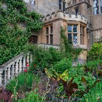 イングリッシュガーデンに包まれる洋館の階段の写真