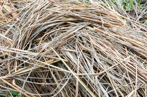 地面に無造作に置かれた乾燥した藁の束