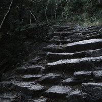 神倉神社の不揃いな上倉石段と参道の歴史的景観の写真