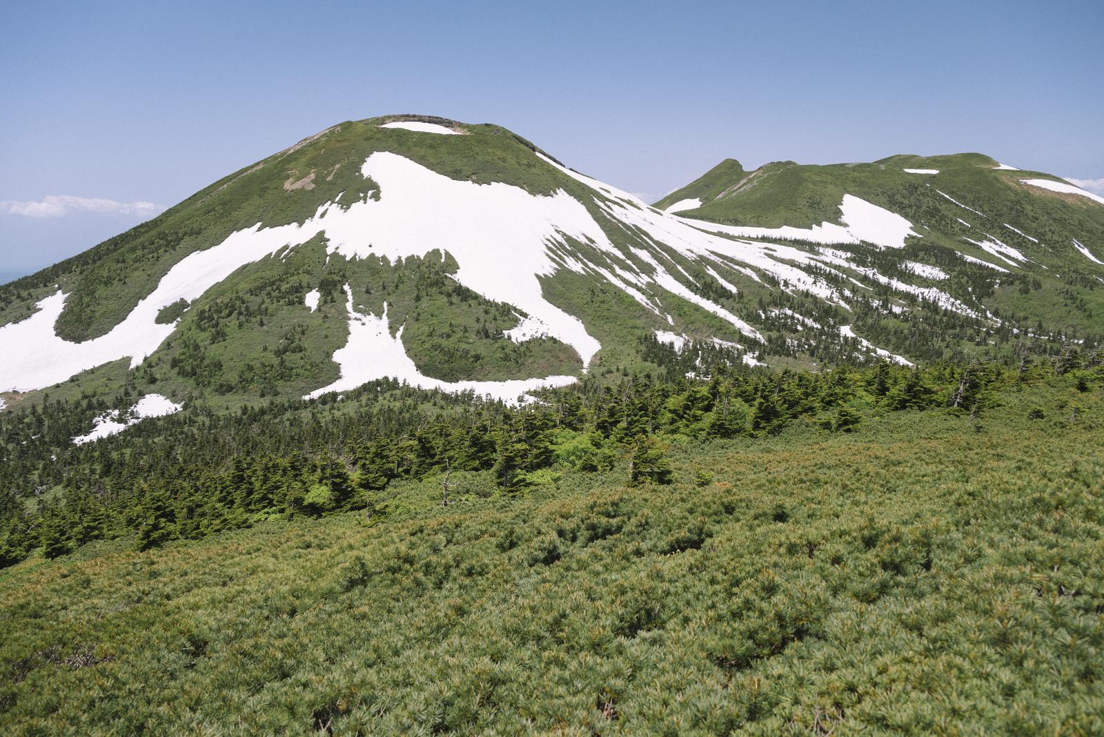 残雪が残る八甲田山の双耳峰と、麓に広がる高山植生