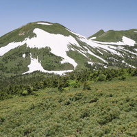 八甲田山山頂の残雪と広がる高山植生、双耳峰の初夏の風景の写真