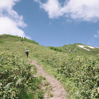 笹原の登山道を進む登山者（平ヶ岳・日本百名山）の写真