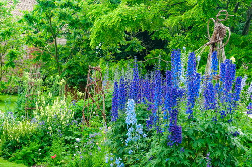 青い花がいっぱいに咲く花壇のあるガーデニングされた庭