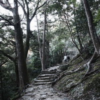 長く続く石段を上る参拝者と神倉神社の山道の写真