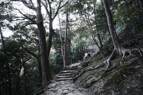 長く続く石段を上る参拝者と神倉神社の山道