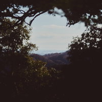 木々の隙間から街並みを眺める遠景、樹木の枝葉と光と影の写真