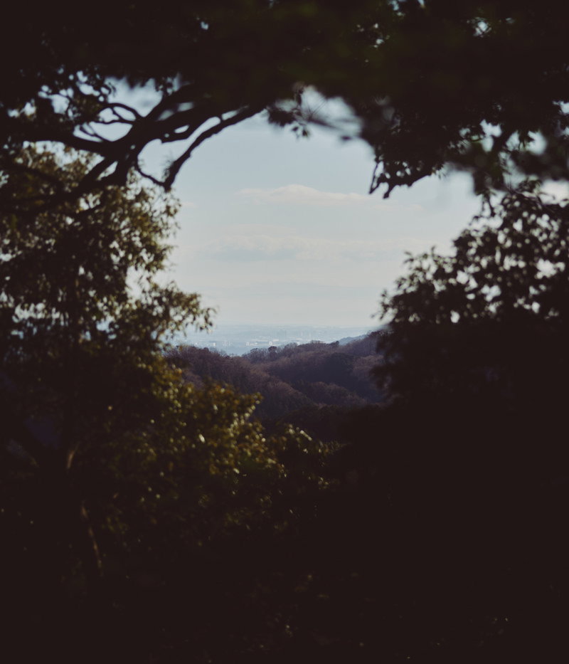 樹木に囲まれた隙間から見える遠い街並みと空