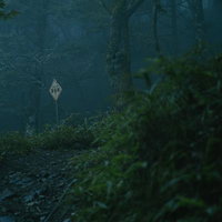 暗がりの夜叉神峠に現れた菱形の登山道標識の写真