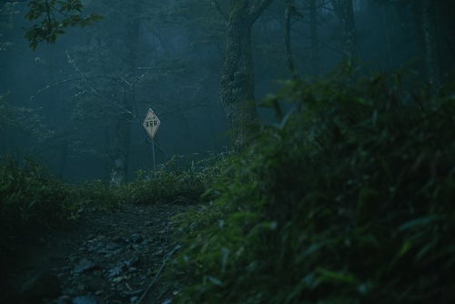 暗がりの夜叉神峠に現れた菱形の登山道標識