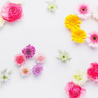 白背景に色とりどりの花が散りばめられたフラワーアレンジの写真