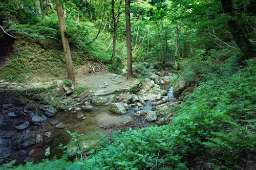 山深い岩井滝へと続く新緑の渓流。苔むした岩が点在する上流域