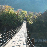 岐阜県白川郷合掌集落へ向かうであい橋の全景の写真