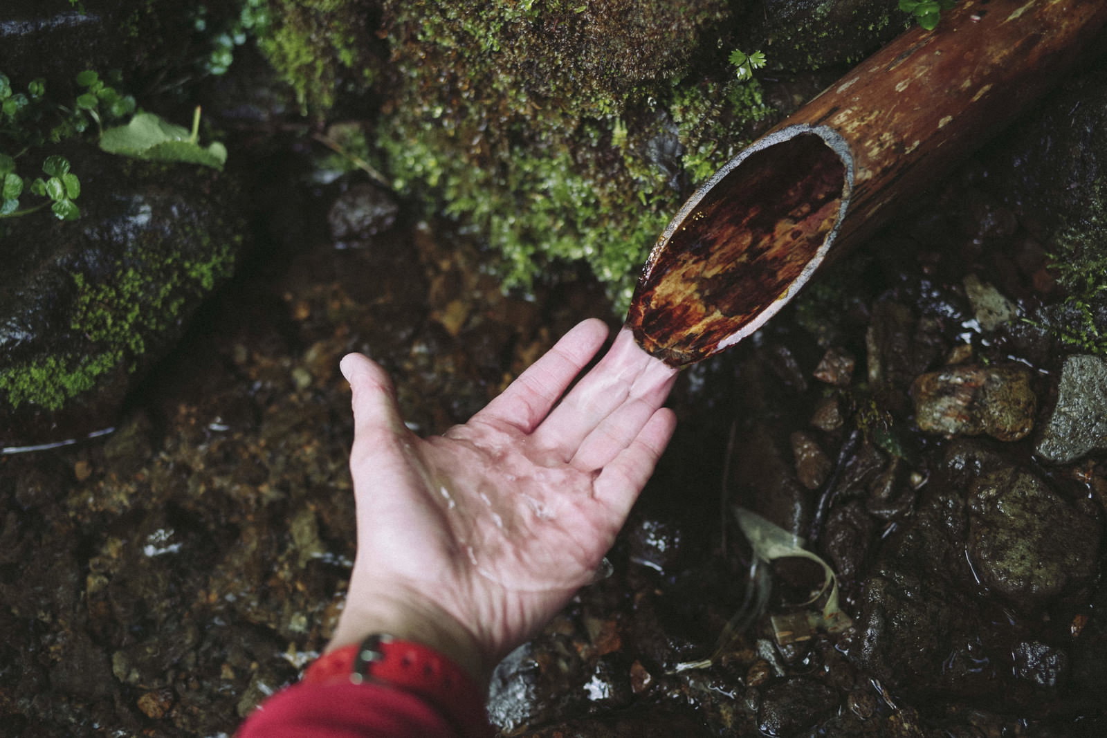 高妻山の氷清水を手のひらで汲んでいる様子