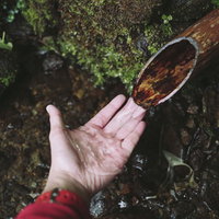 日本百名山・高妻山の氷清水を手のひらで汲む湧き水の写真