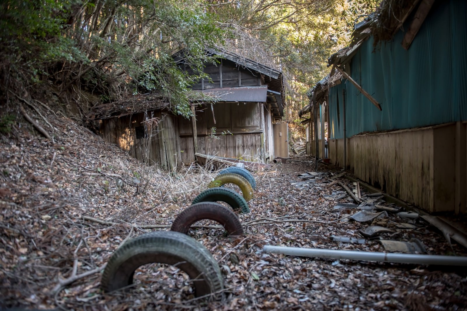 廃校の校舎裏に古いタイヤが複数放置されている荒廃した風景