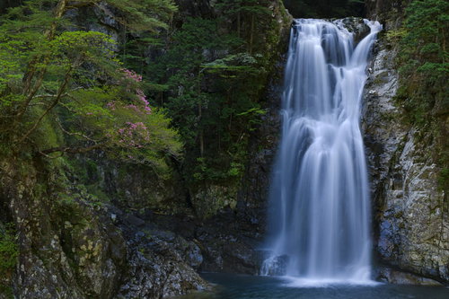 大台ヶ原大杉谷ルートの堂倉滝の迫力ある水流と渓谷風景