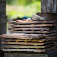 山田養蜂場の蜜蜂の巣箱と巣板の採蜜風景と蜂の生活の写真