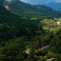 深緑の山間を走る秋田新幹線こまち号の車両と線路の写真