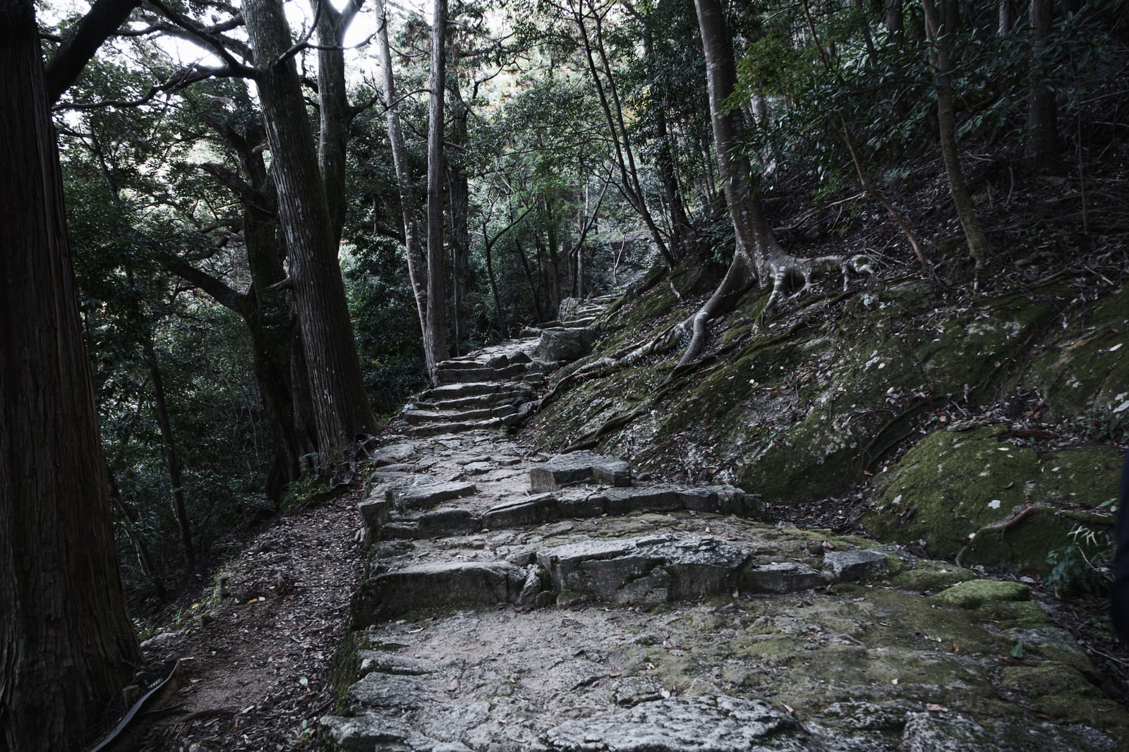 神倉神社の境内に続く急勾配の石段を山道から撮影した風景