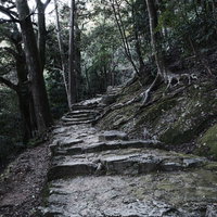 神倉神社の境内へ続く長く急な石段と参道の風景の写真