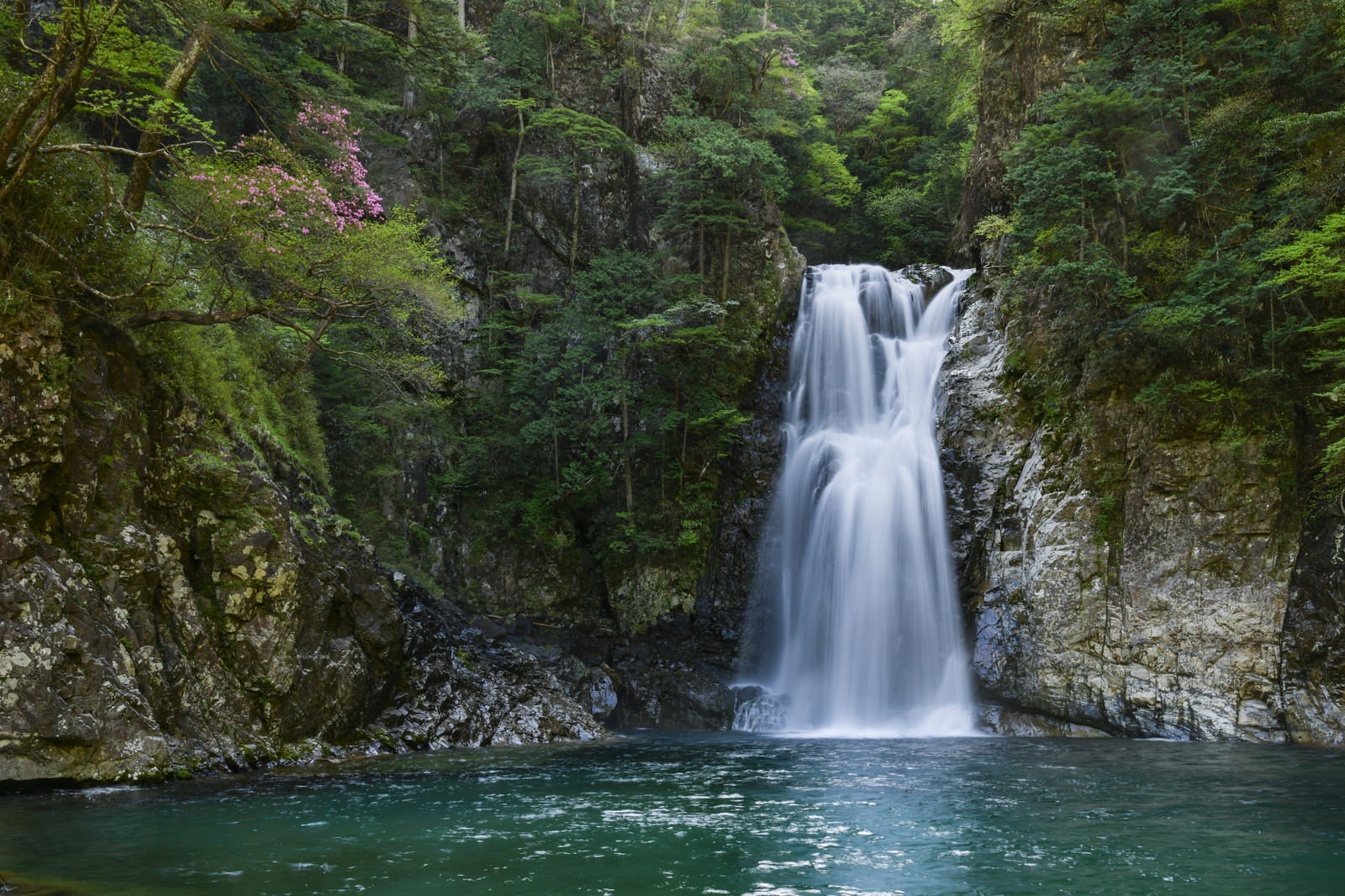 緑の森に囲まれた岩肌を流れ落ちる堂倉滝とエメラルドグリーンの淵