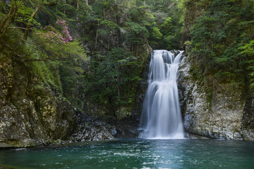 日本百名山・大台ヶ原の大杉谷ルート堂倉滝の流れ