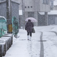 降雪の道路に残る足跡とタイヤ痕の冬景色と積雪風景の写真