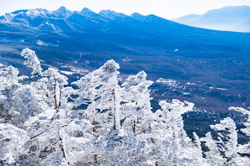 霧氷に覆われた八ヶ岳連峰と茅野市街の冬景色