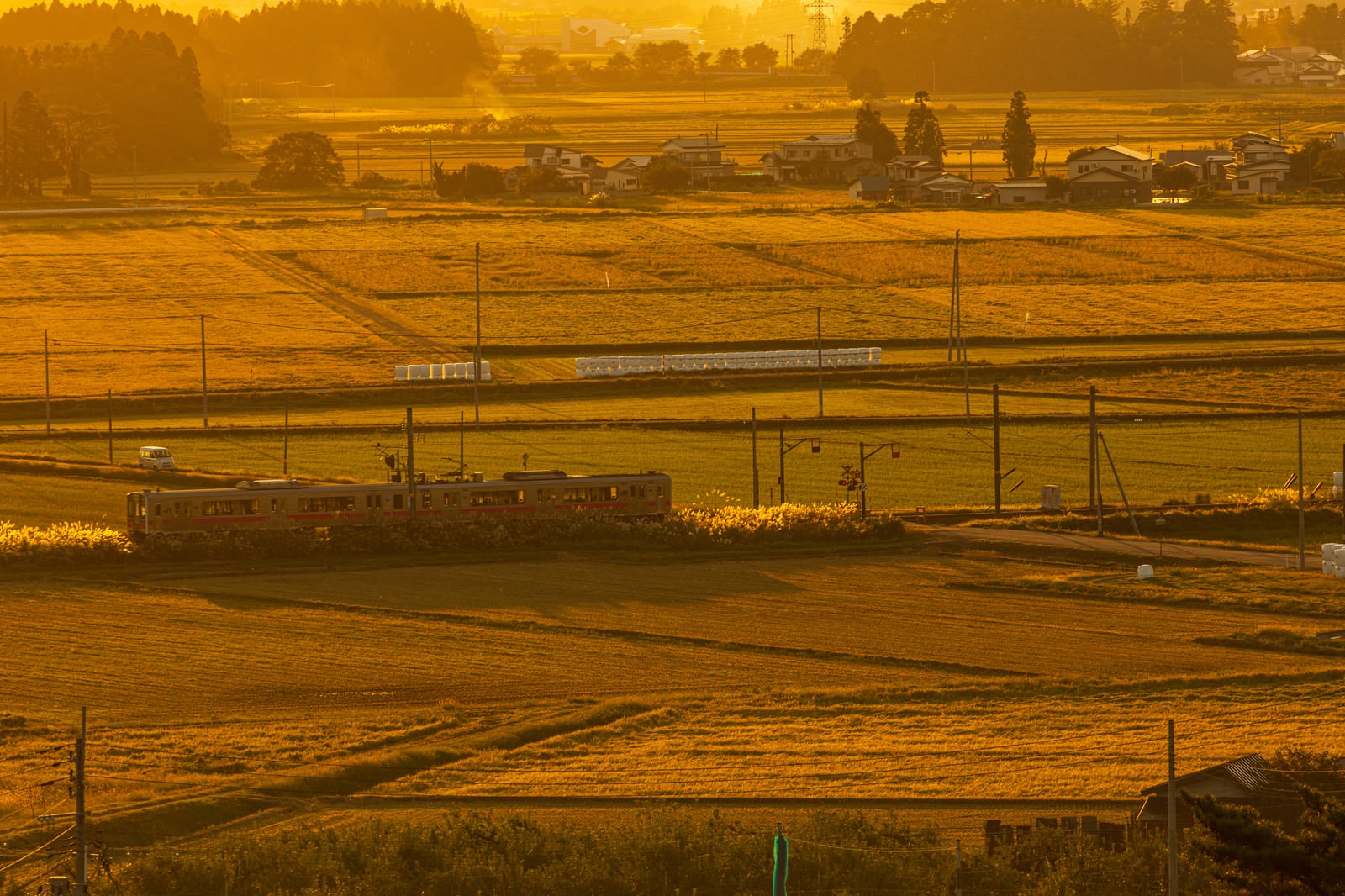 夕暮れの黄金色に染まった田園風景を走るローカル電車