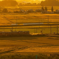 夕暮れの田園を黄金色に照らしながら走るローカル電車の写真